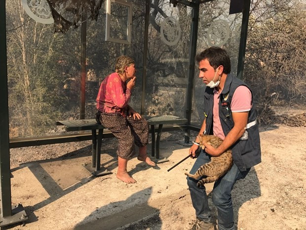Muğla'daki yangında şok! Arılar çıldırdı köy evleri yandı - Resim: 3