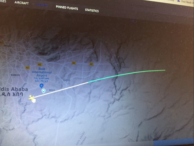 Etiyopya Hava Yollarına ait Boeing tipi yolcu uçağı düştü. - Resim: 2