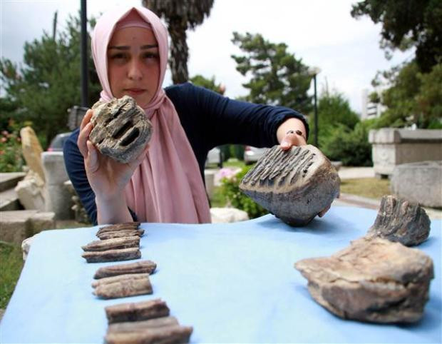 Bu fosil 2 milyon yıllık... - Resim: 1