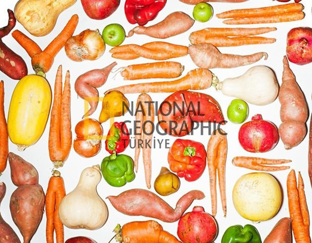 Üretilen her 3 gıdanın 1'i çöpe gidiyor - Resim: 1