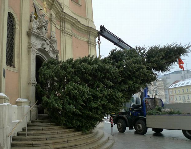 Günün en çok tıklanan fotoğrafları  - Resim: 3
