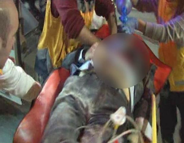 Ünlülerden Savcı Mehmet Selim Kiraz'ın ölümüne tepki - Resim: 2