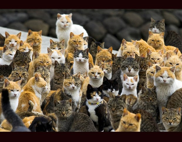 Reuters'ın en beğenilen fotoğrafları - Resim: 3