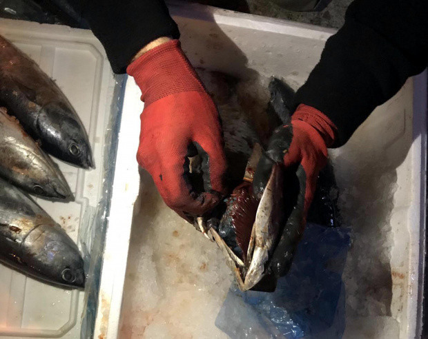 Mersin'de balıkla uyuşturucu sevkiyatı polise yakalandı - Resim: 0