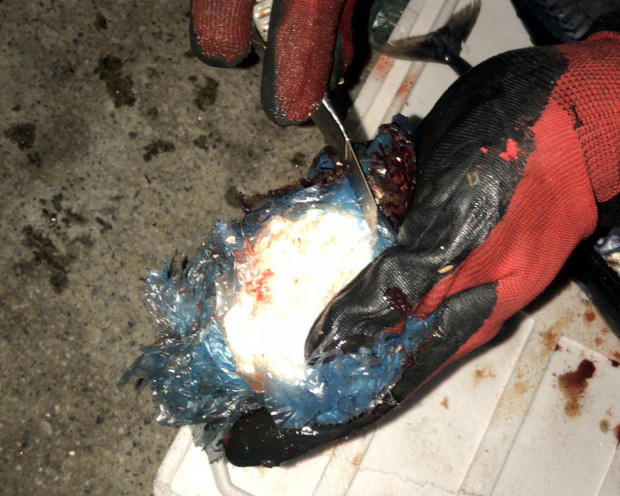 Mersin'de balıkla uyuşturucu sevkiyatı polise yakalandı - Resim: 1