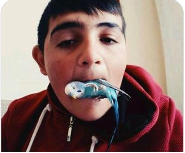 Onlar durdurulamıyor aklınıza sığmaz ama onlar yapar - Resim: 4