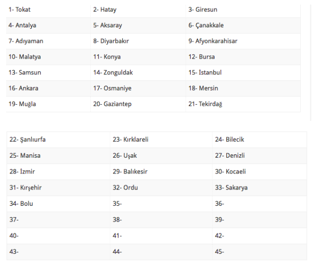 15 Ağustos evde bakım maaşı yatan iller 33 il listede sorgulama ekranı - Resim: 0