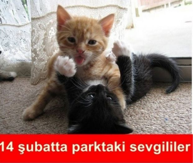 Sosyal medyayı sallayan 14 Şubat Caps´leri - Resim: 1