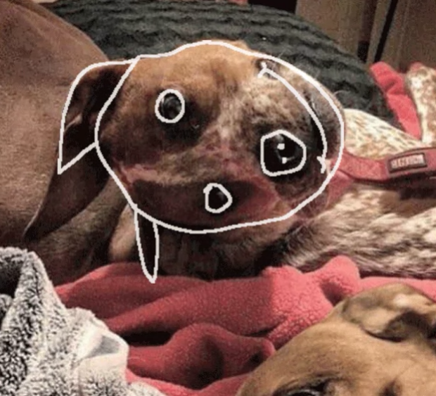 Bunu görenler hayrete düşüyor! - Resim: 4