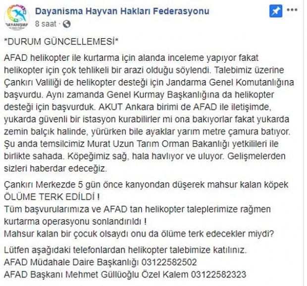 5 gündür kurtarılmayı bekleyen köpeğe Haluk Levent'ten yardım eli - Resim: 0