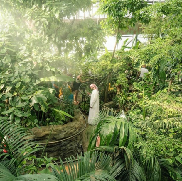 Dubai Dünyanın en yeşil kenti olacak - Resim: 1