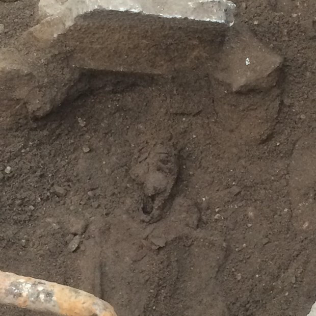 Foça'da 2 bin 100 yıllık mezarlar bulundu - Resim: 1