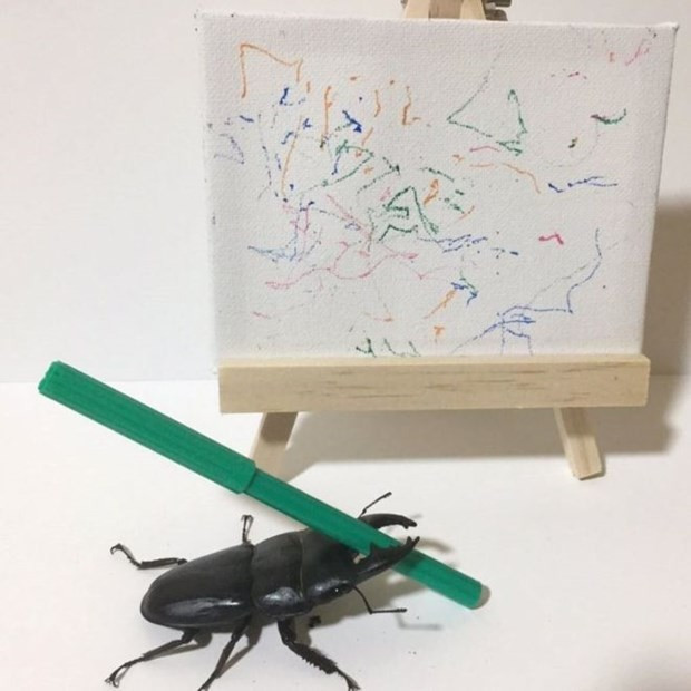 Ressam böcek Instagram fenomeni oldu - Resim: 4