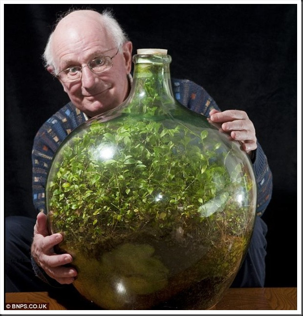 Bu bitki tam 40 yıldır hiç hava ve su almadan yaşıyor - Resim: 1