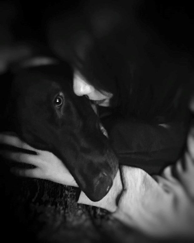 Hande Erçel'in hayvan sevgisi sosyal medyada paylaştı! - Resim: 4