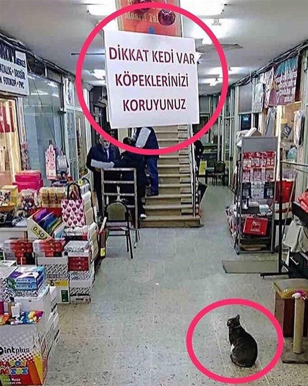 Plajda sırtına öyle bir şey yazdı ki görenler kameralara sarıldı - Resim: 1