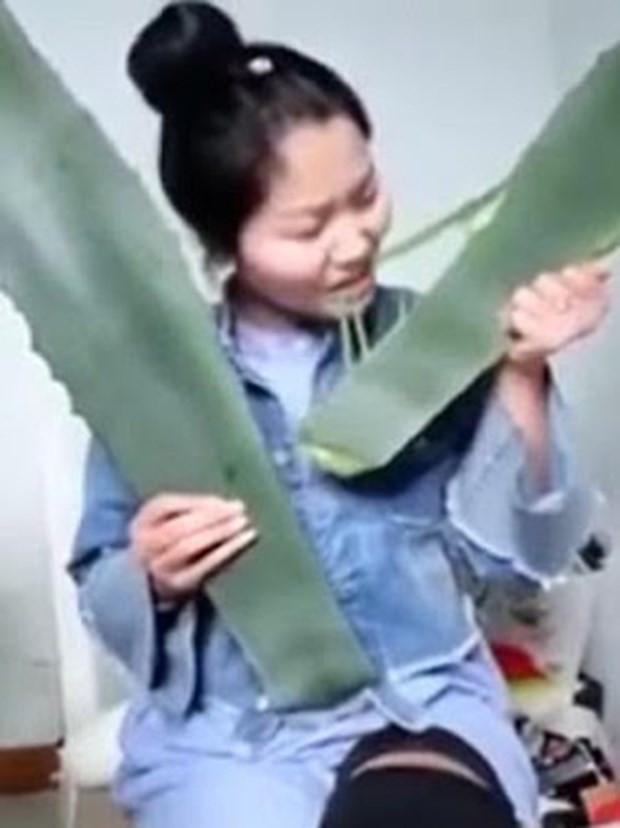 Canlı yayında bitki yemeyi başladı bir anda... Skandal olay! - Resim: 4