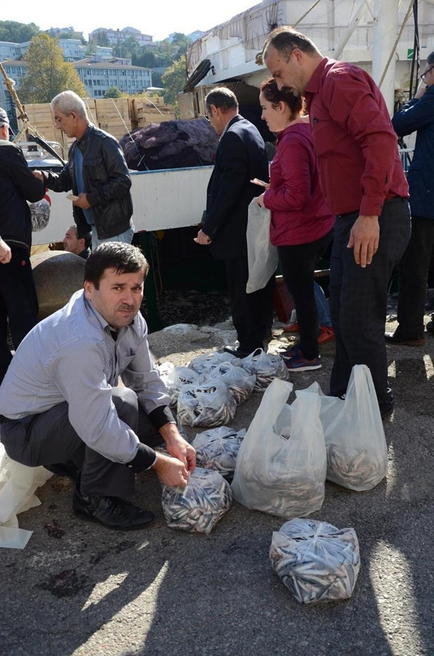 Kilosu 1 liraya hamsi kapışıldı - Resim: 6