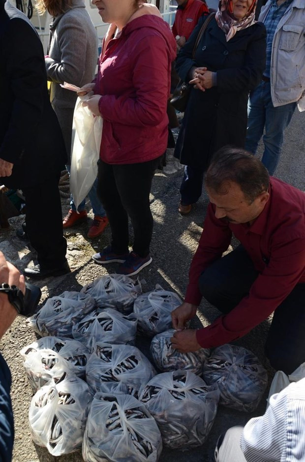Kilosu 1 liraya hamsi kapışıldı - Resim: 9