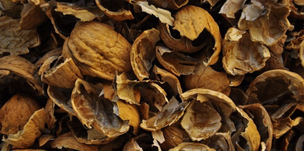 Cevizin kabuğunu sakın atmayın bakın ne işe yarıyor - Resim: 1