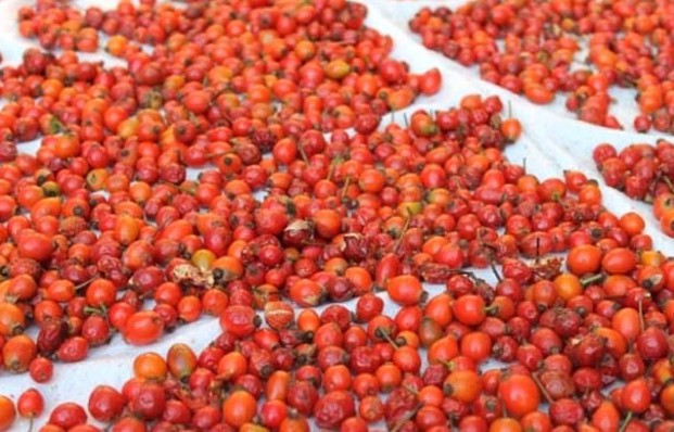 Ağrı kesiciden daha etkili! Kuşburnunu böyle için - Resim: 4