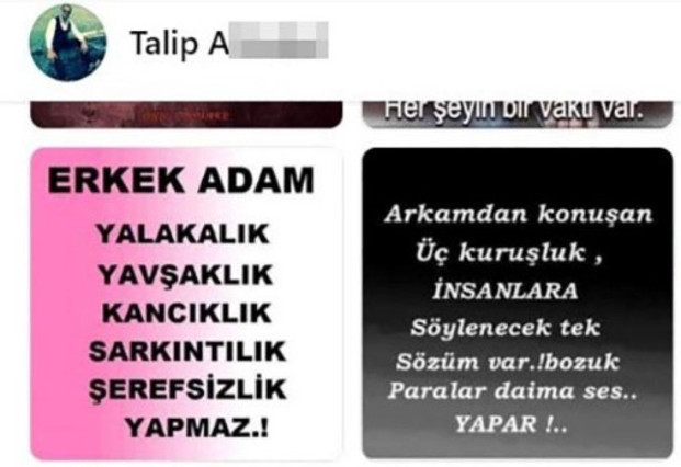 Sakarya'da tatile gelen genç kıza saldıran şahıs suç makinesi çıktı - Resim: 0