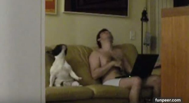 Köpek ve sahibinin gizli kamera görüntüleri olay farkında varmadılar bile - Resim: 4