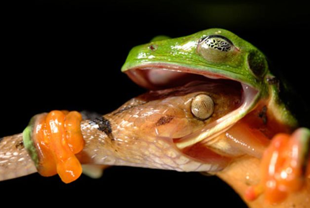 Doğru zamanda çekilen kareler! - Resim: 3