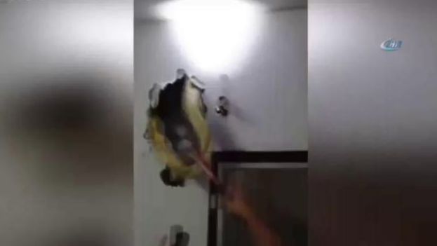 Duvardaki koca pitonu fark edebildiniz mi onlar fark edemedi - Resim: 3