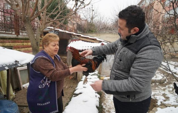 Sabah uyandı tavuğunun horoza dönüştüğünü gördü sonra... - Resim: 3