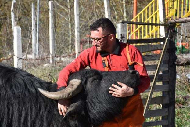 Mandalara yaptığı yöntemle daha kaliteli süt üretiyor - Resim: 2