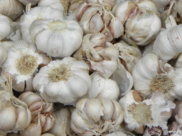 Çiğ sarımsak hakkında bilmediğiniz gerçek! Her gün bir adet tüketin - Resim: 3