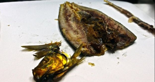 Bu gelenek firavunlara kadar dayanıyor ölüm tehlikesi var ama... - Resim: 3