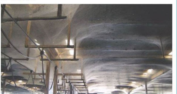 Bu fotoğraflar gerçekten korkunç - Resim: 3