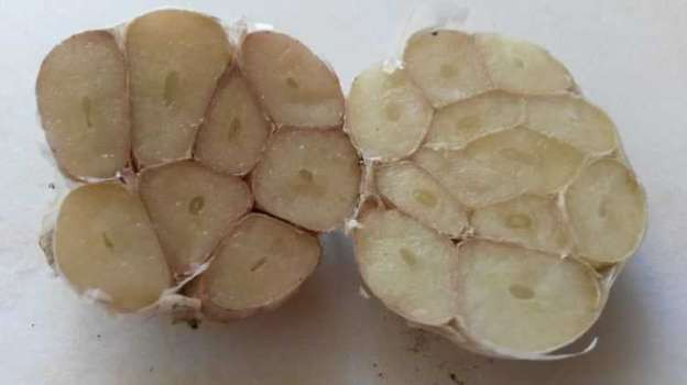 Günde 6 diş kavrulmuş sarımsak yerseniz.. - Resim: 3