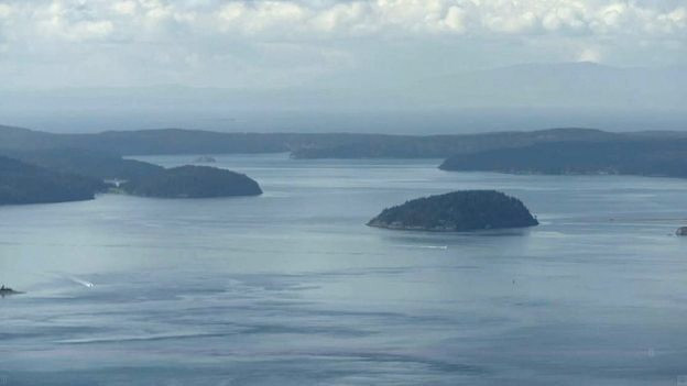 İnzivaya çekilen eski Facebook yöneticisinden ürküten kehanet - Resim: 4