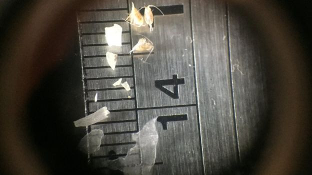 Sizin sandığınızdan daha büyük bir tehlike altında olabilirler - Resim: 4