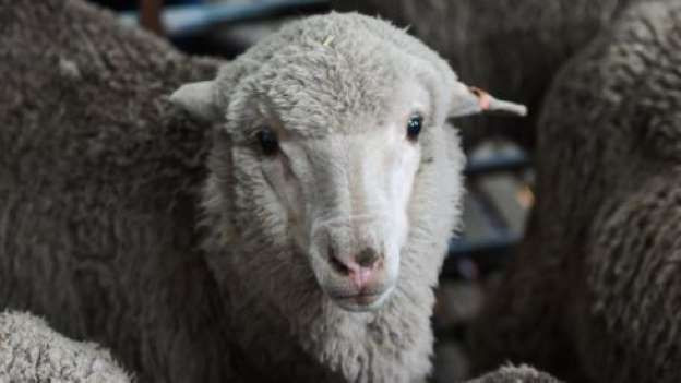 Tıp dünyası şokta! 50 yıl önce spermleri dondurup... - Resim: 3