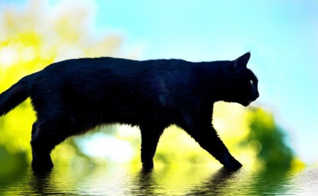 En acayip Türk batıl inançları - Resim: 1