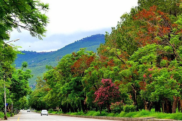 Atatürk her yerde! - Resim: 3