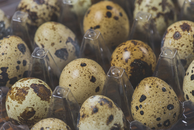 Bıldırcın  yumurtası nasıl yenir? Faydaları nelerdir? - Resim: 3