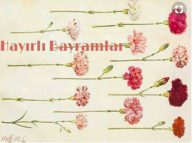 Bayram mesajları kısa 2019 resimli Ramazan bayramı kutlama sözleri - Resim: 6