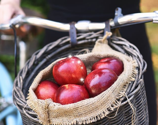 Böyle elma mı olur! 1 yıl boyunca çürümeden kalan elma ürettiler - Resim: 3