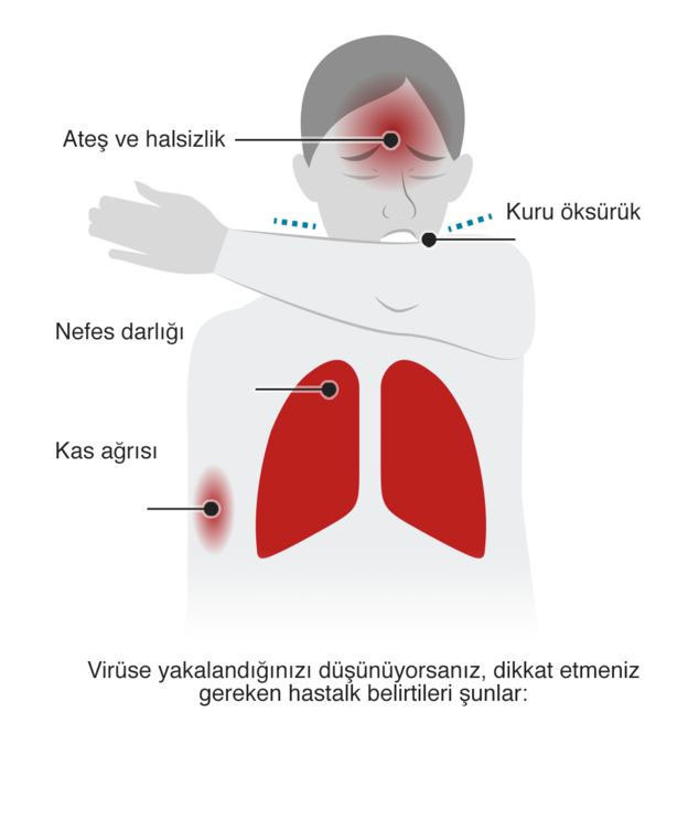 Ebola'yı keşfeden Belçikalı bilim insanının koronavirüs açıklaması korkuttu - Resim: 1