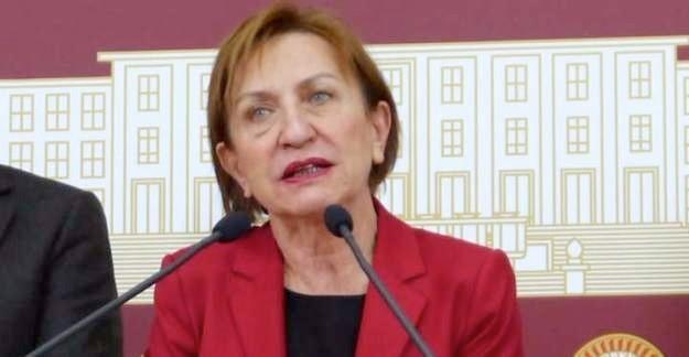 CHP'li Binnaz Toprak'ın 'hayır' tweeti sosyal medyayı salladı - Resim: 1