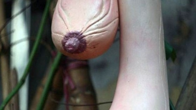 Sakın şekline aldanmayın! Bakın aslında ne - Resim: 1