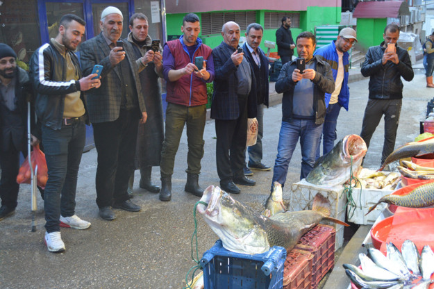 Elazığda'da balıkçılar iki metrelik dev turna balığı avladı - Resim: 0