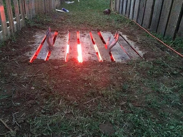 Tüm makarnayı tuvalete döktü sonra yedi bu midesizliği paylaştı - Resim: 2