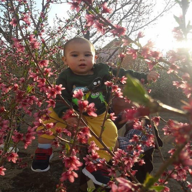 Niğde'de çiğ köfte makinesine düşen 2,5 yaşındaki çocuk yaşamını yitirdi - Resim: 0