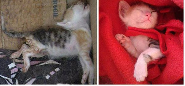 Bir de son halini görmelisiniz! - Resim: 4